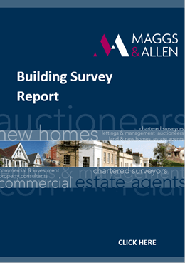 Building Survey Report
