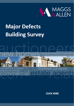 Major Defect Survey Report