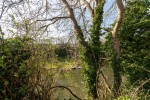 Images for Lake Road | Henleaze