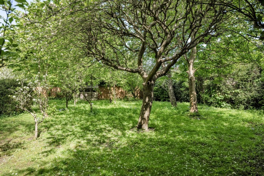 Images for Grange Park | Henleaze