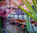 Images for West Street, Bedminster, Bristol