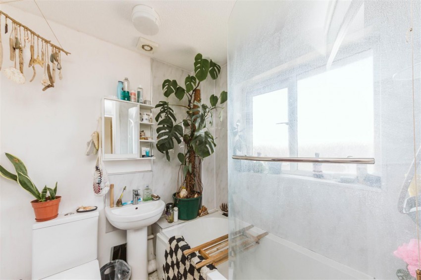 Images for Pine Road | Brentry