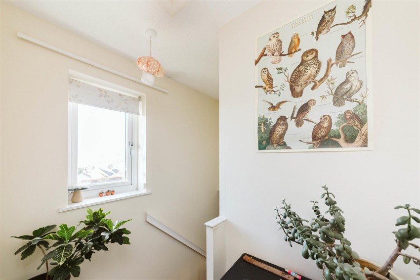 Images for Pine Road | Brentry