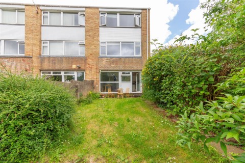 View Full Details for Trendlewood Park | Stapleton