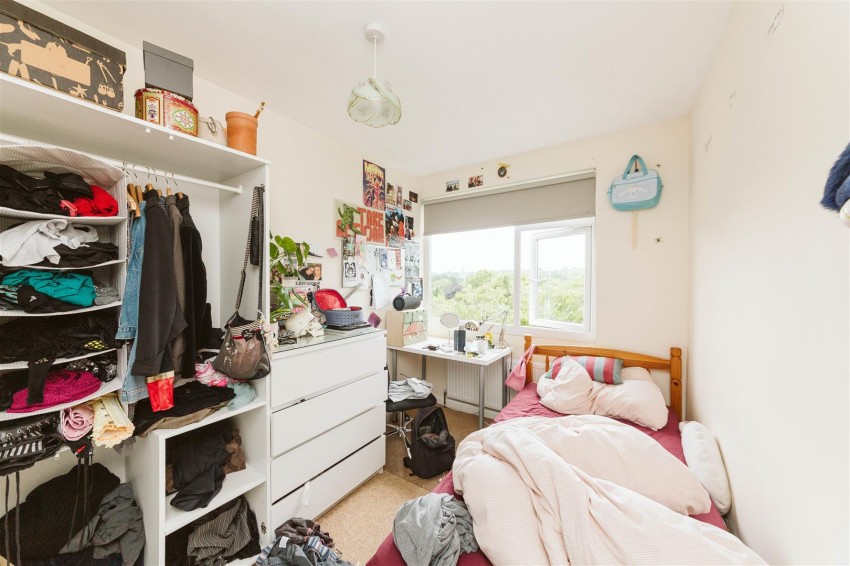 Images for Trendlewood Park | Stapleton