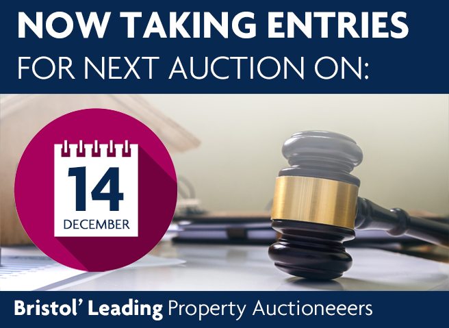 Nov Auction